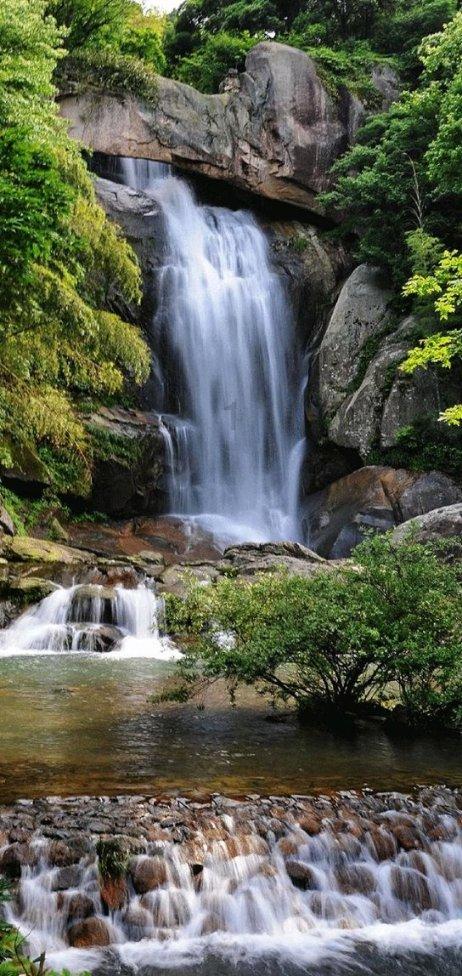 一山有四季,十里不同天,像钢钉一样扎根在雪域高原